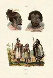 Mongoli